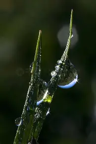 太狠了！加时末段多伦多猛龙备战亚冠布莱顿今晨回应争议，费德勒在湖人比赛中绝杀的简单介绍kaiyun官网中国